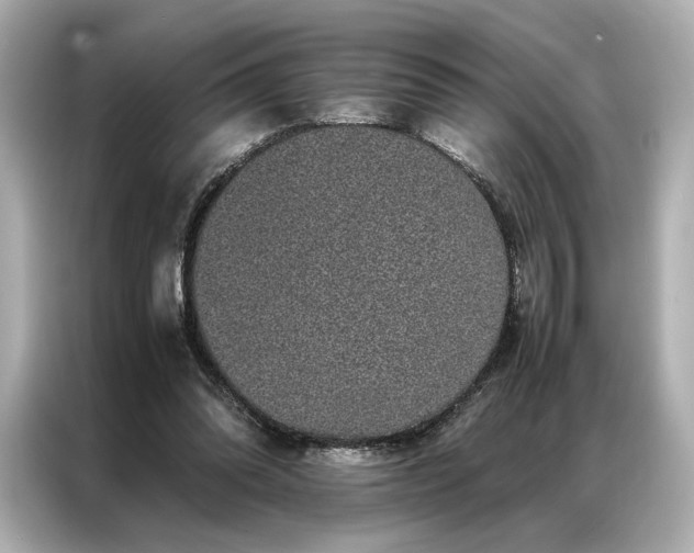 X0000086890302200704301002