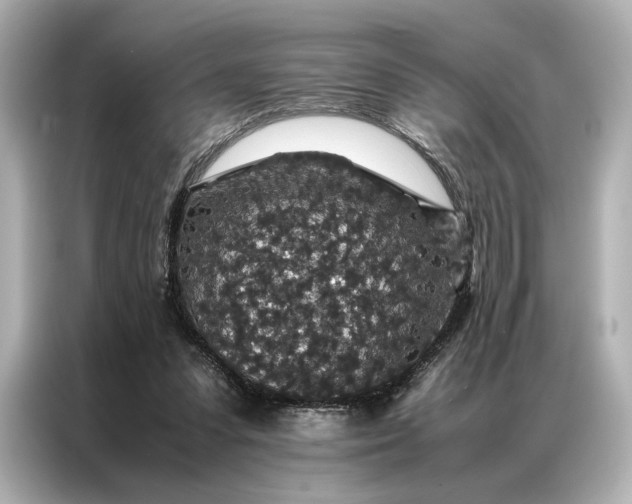 X0000086890303200704301002