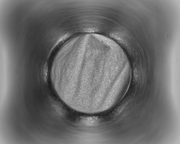 X0000086890304200704301002