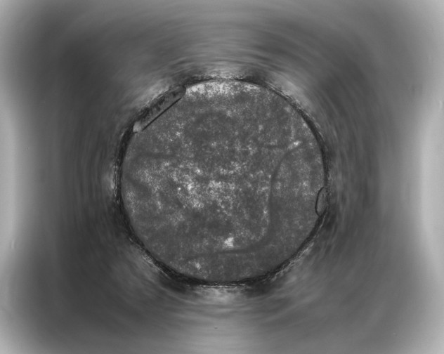 X0000086890305200704301002