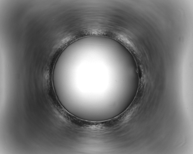 X0000086890306200704301002