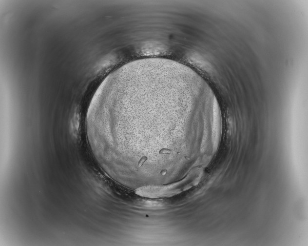 X0000086890308200704301002