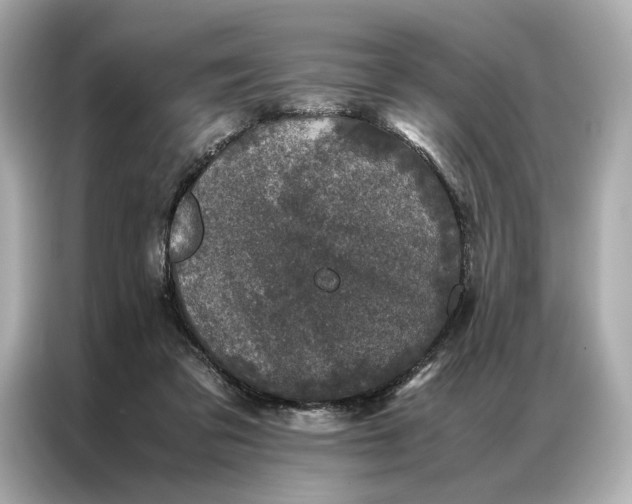 X0000086890309200704301002