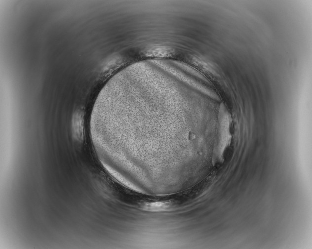 X0000086890312200704301002