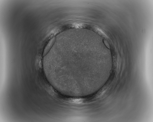 X0000086890313200704301002