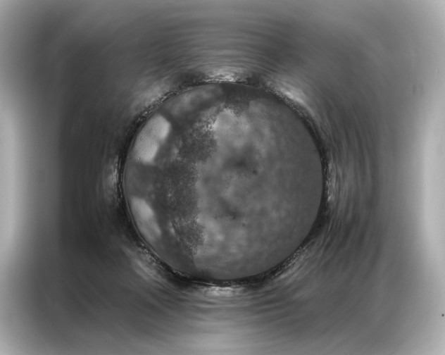 X0000086890314200704301002