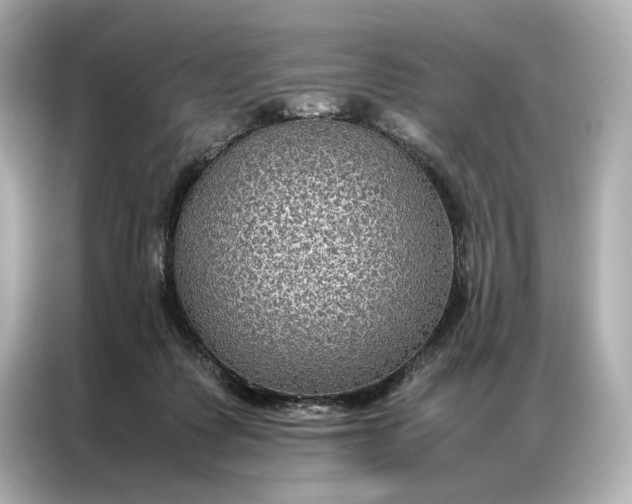 X0000086890315200704301002