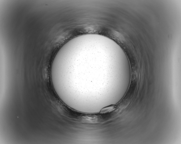 X0000086890317200704301002