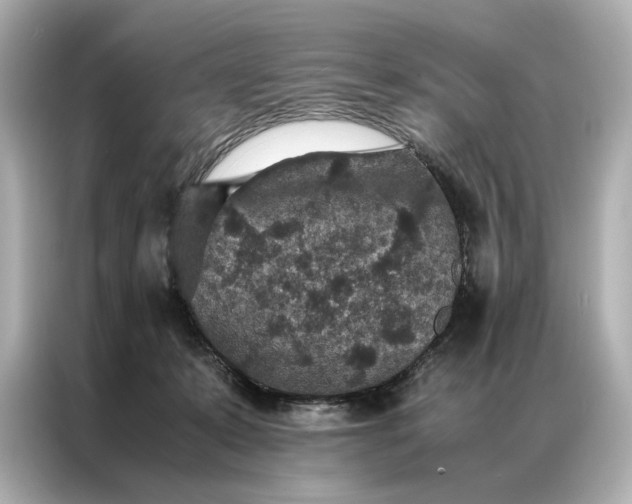 X0000086890319200704301002