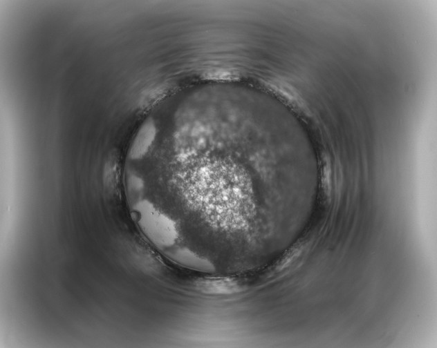 X0000086890322200704301002