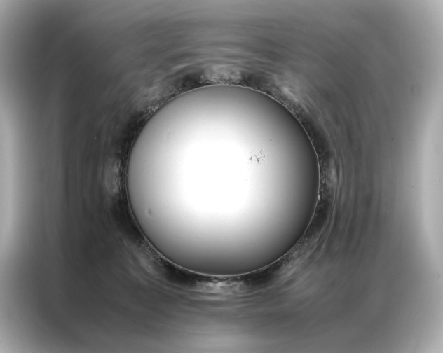 X0000086890323200704301002