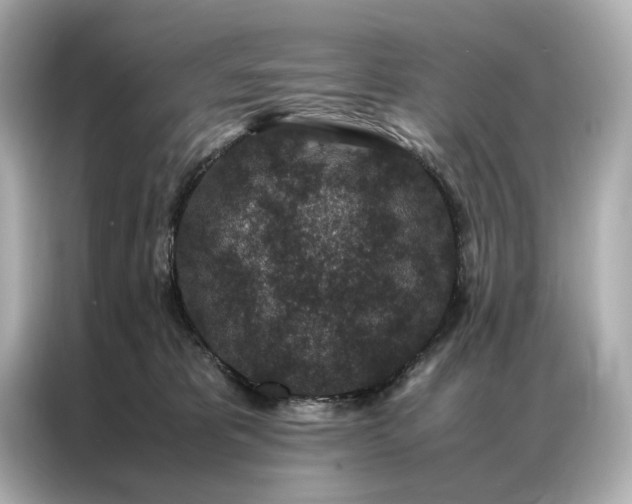 X0000086890325200704301002