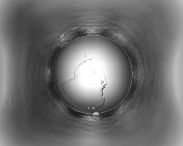 X0000086890327200704301002