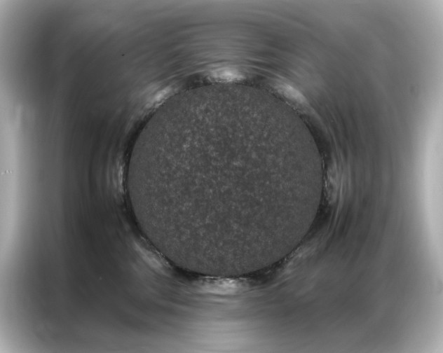 X0000086890330200704301002