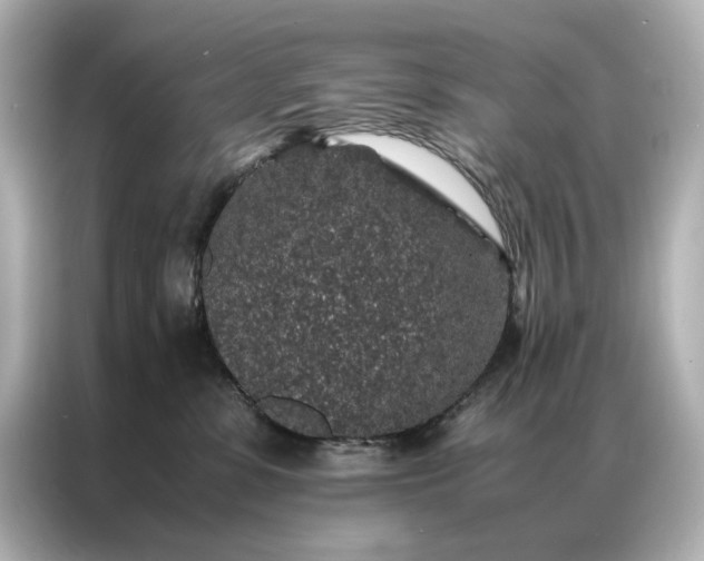 X0000086890331200704301002