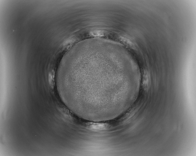 X0000086890332200704301002