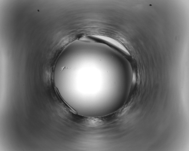 X0000086890333200704301002