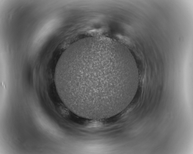 X0000086890335200704301002