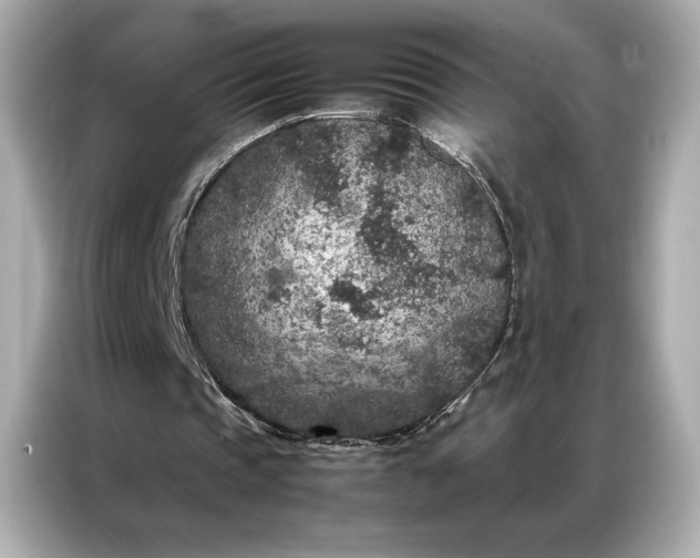 X0000086890337200704301001