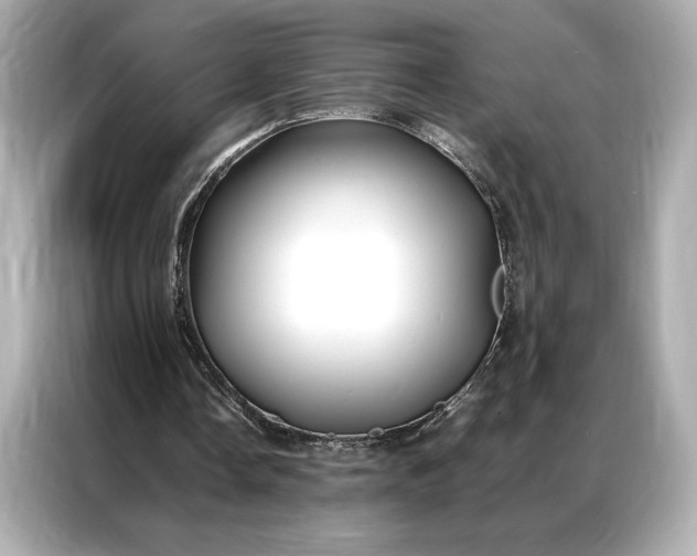 X0000086890338200704301001