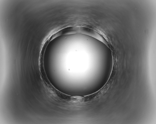 X0000086890340200704301001