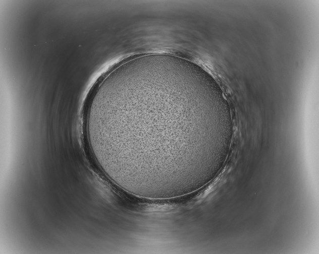 X0000086890342200704301001