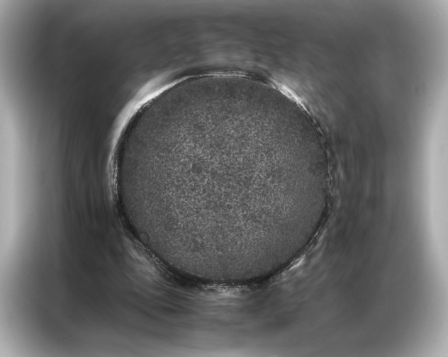 X0000086890343200704301001