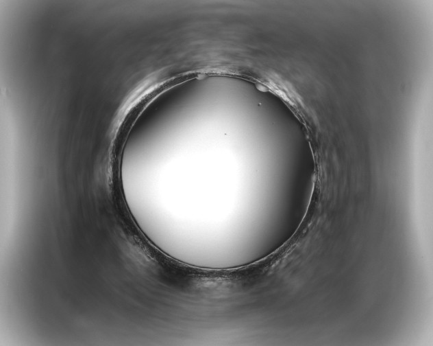 X0000086890344200704301001