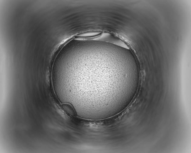 X0000086890345200704301001