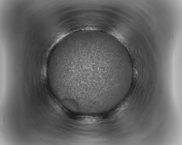 X0000086890347200704301001