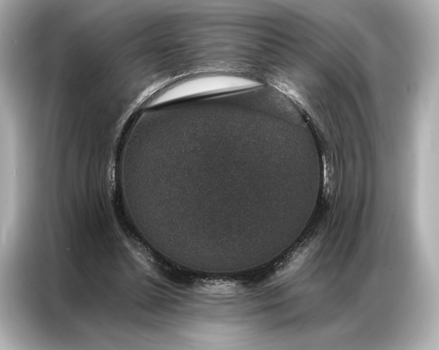 X0000086890348200704301001