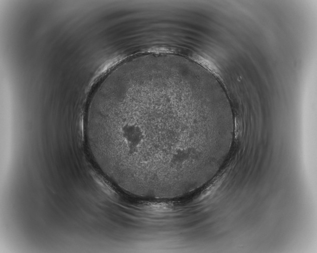 X0000086890349200704301001