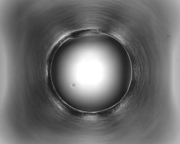 X0000086890350200704301001