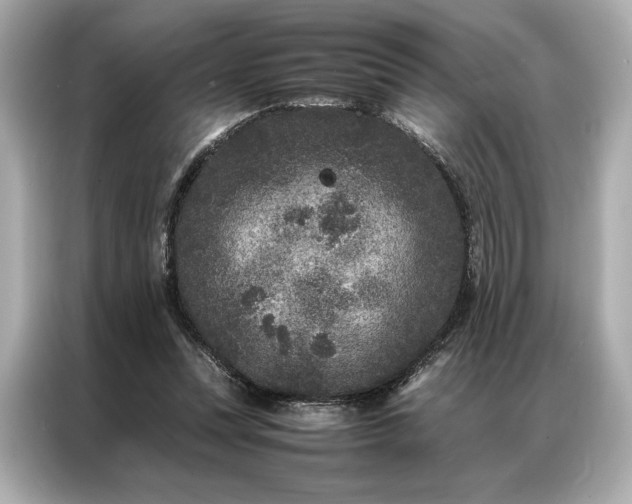 X0000086890351200704301001