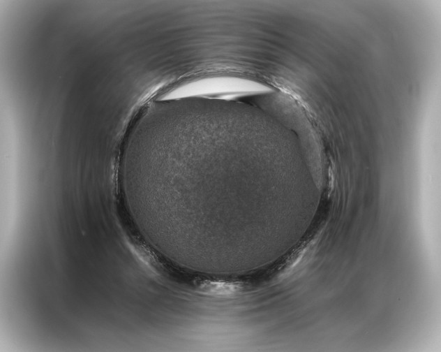 X0000086890352200704301001