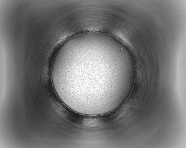 X0000086890354200704301001