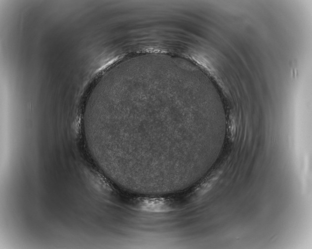 X0000086890355200704301001