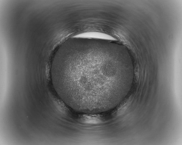 X0000086890359200704301001