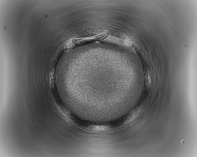 X0000086890360200704301001