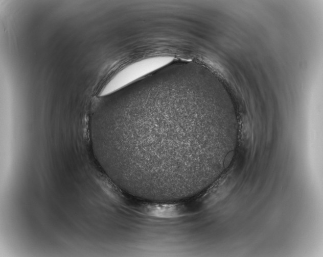 X0000086890361200704301001