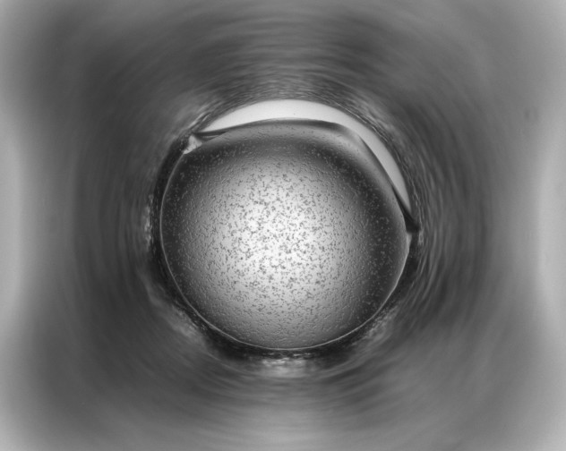 X0000086890362200704301001