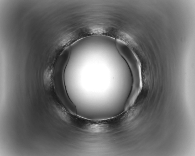 X0000086890364200704301002