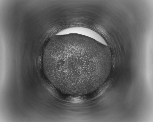 X0000086890365200704301002