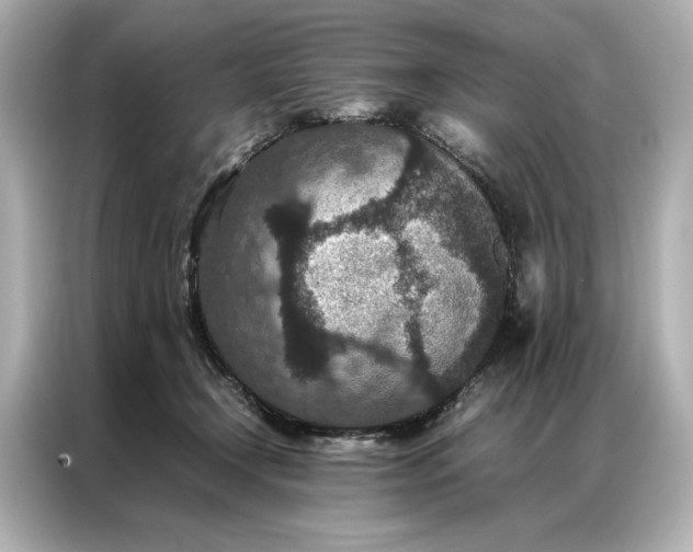 X0000086890366200704301002