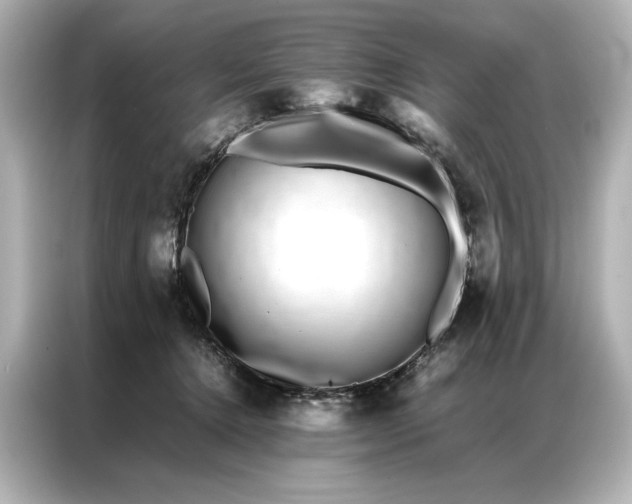 X0000086890368200704301002