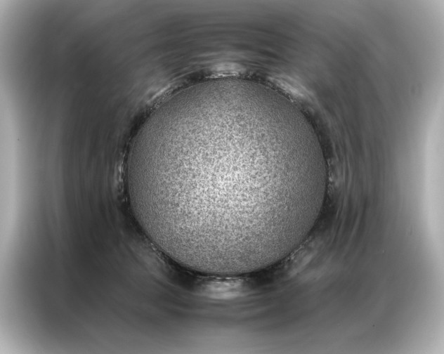 X0000086890369200704301002