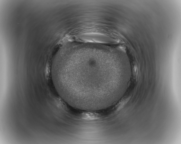 X0000086890372200704301002