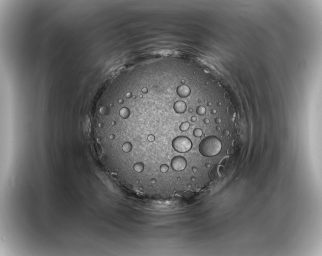 X0000086890375200704301002