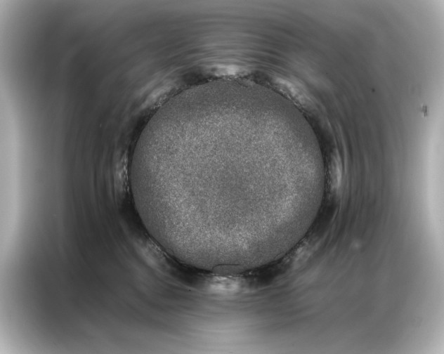 X0000086890376200704301002