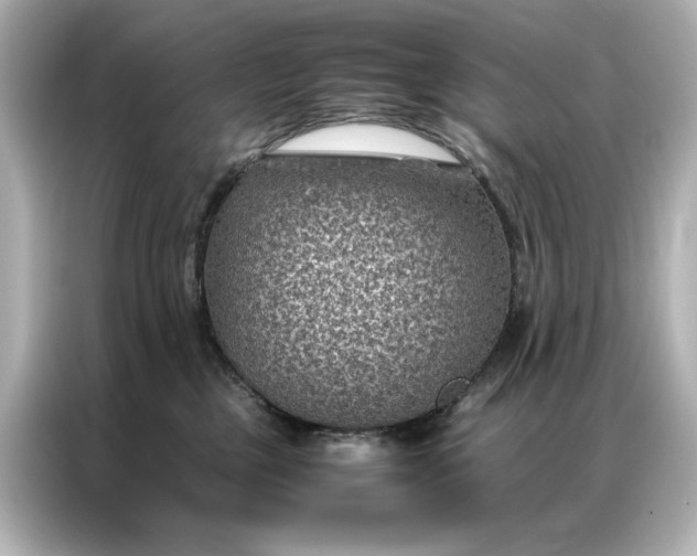 X0000086890377200704301002